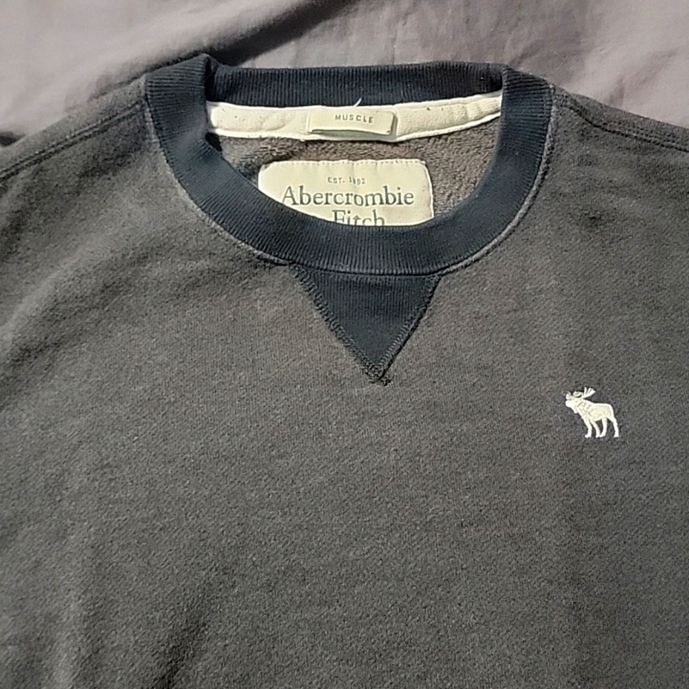 Abercrombie & Fitch men's long sleeve sweater